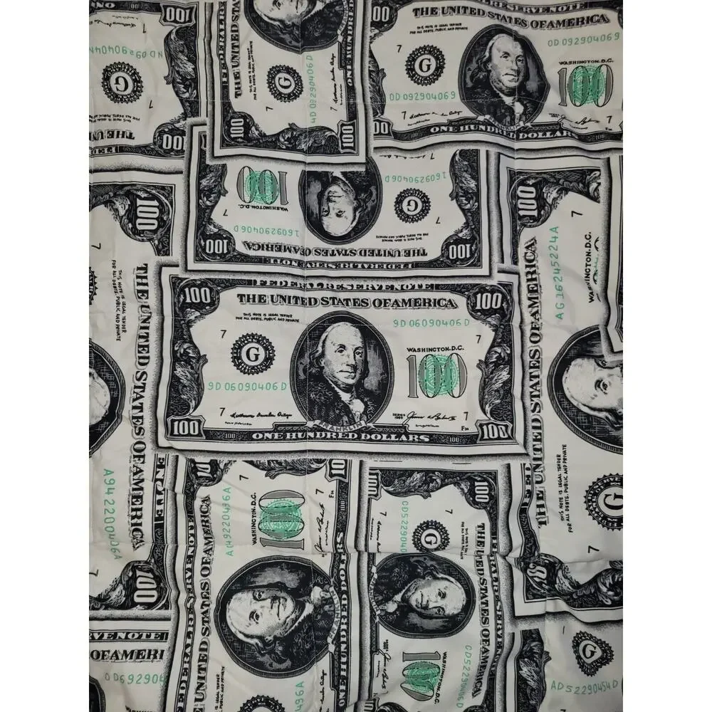Money Blanket 100 Dollar Bills Pattern Benjamins Print - Faux Down Gift